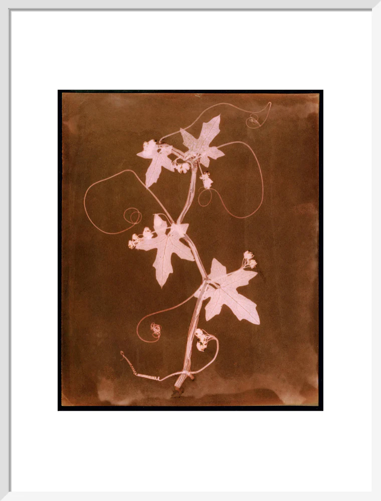 Product image 85