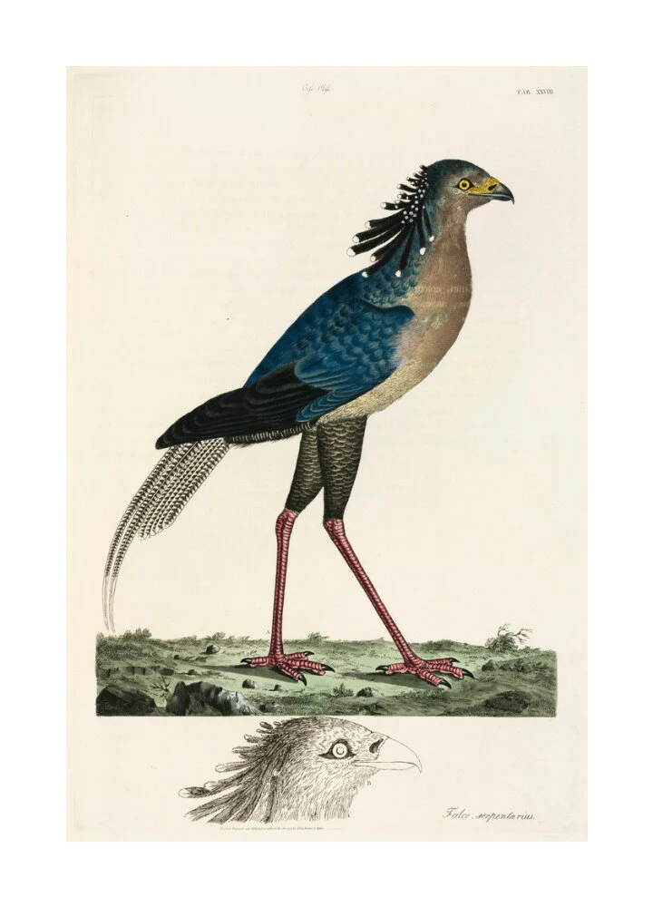 Product image 62