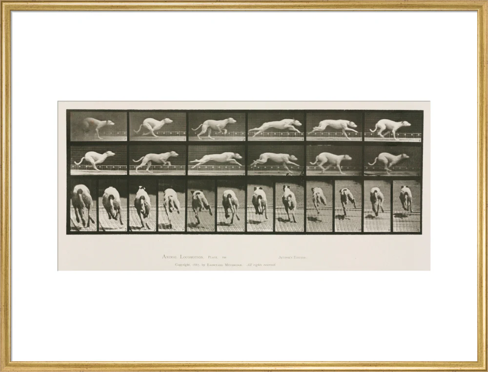 Product image 58