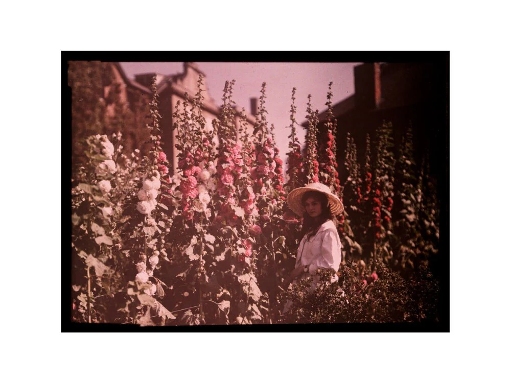 Product image 55