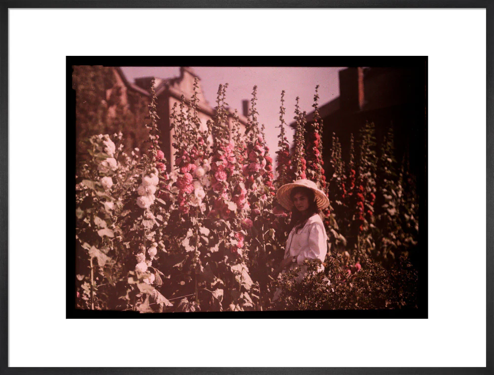 Product image 56