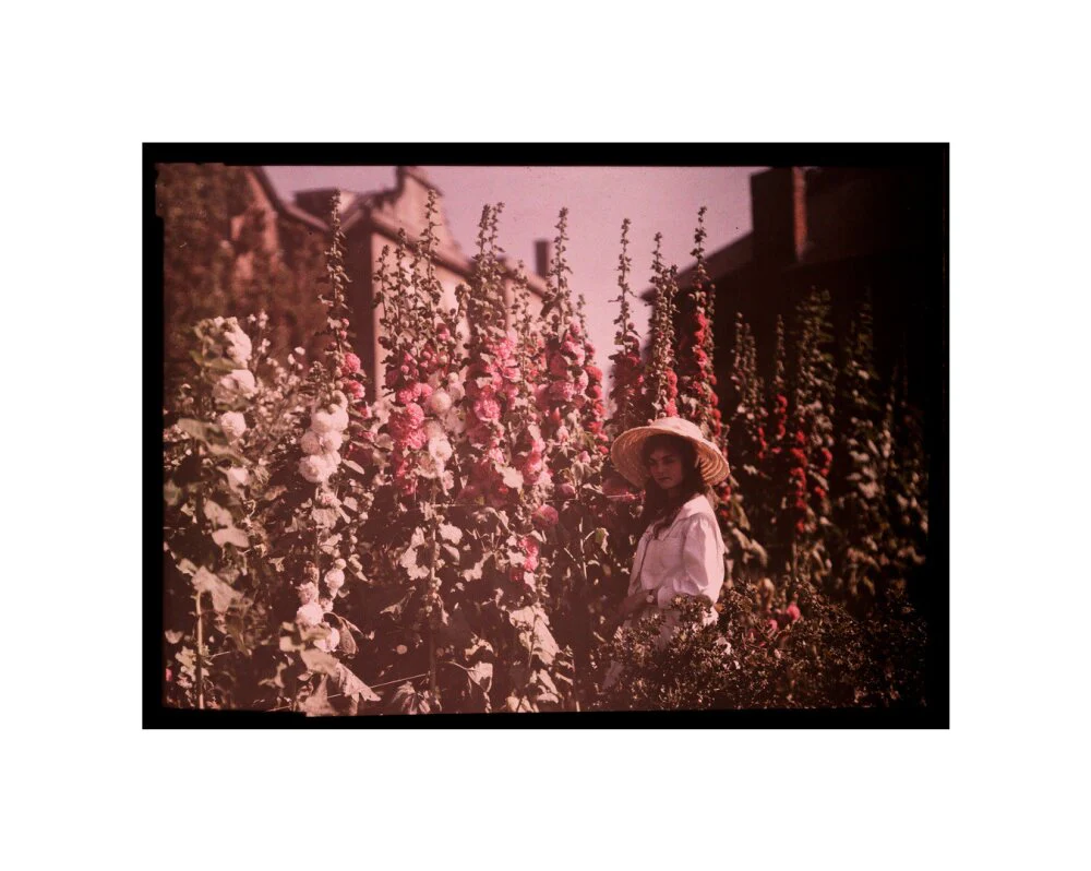Product image 60