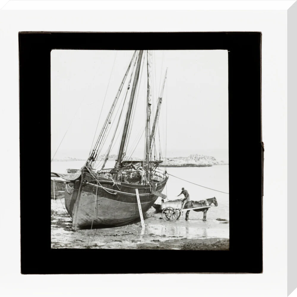 Product image 66