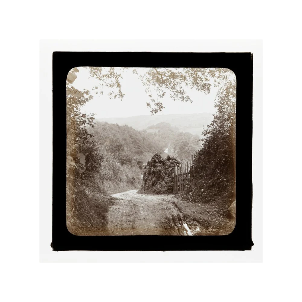 Product image 60