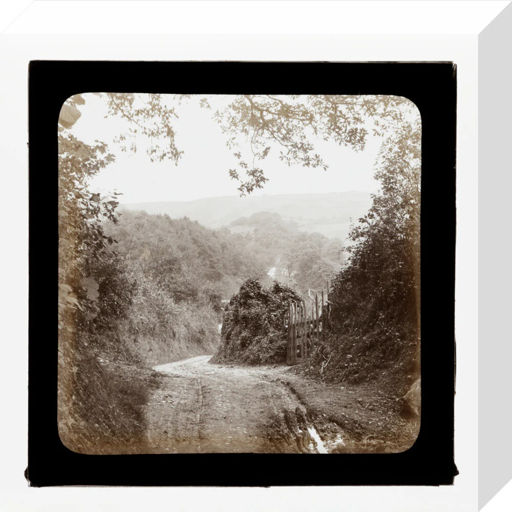 Product image 64