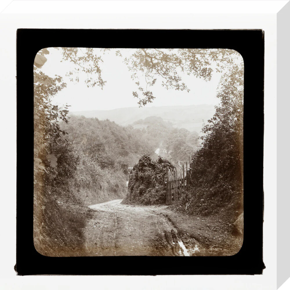 Product image 65