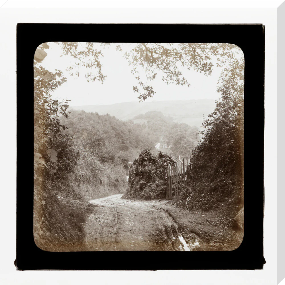 Product image 67