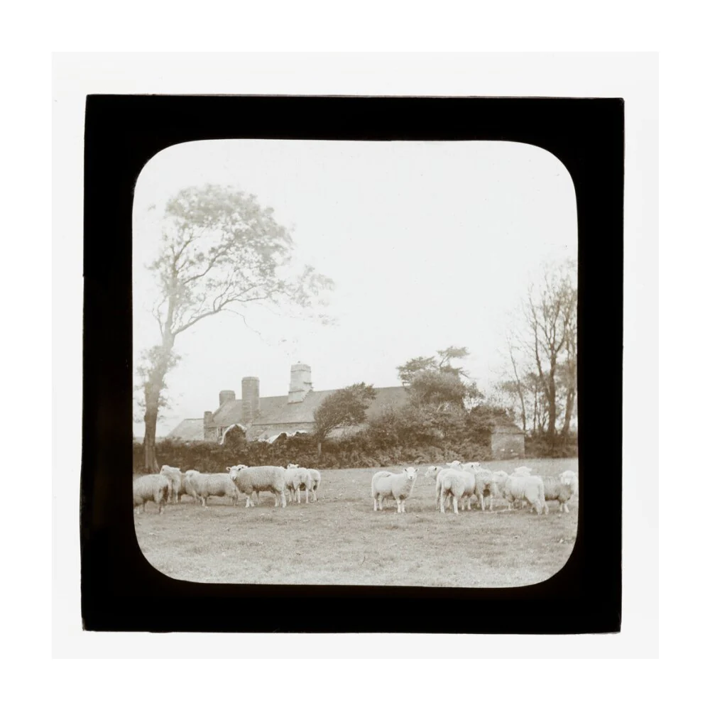 Product image 62