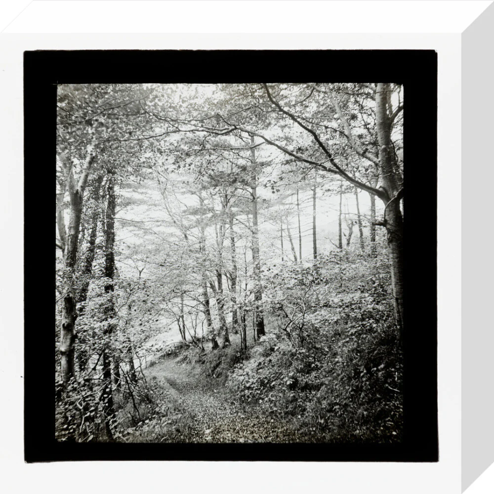 Product image 64