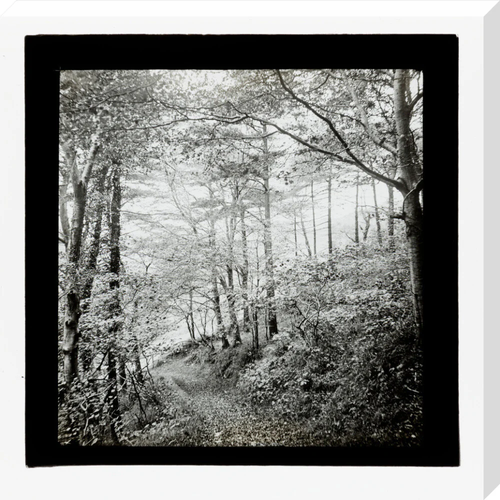 Product image 66