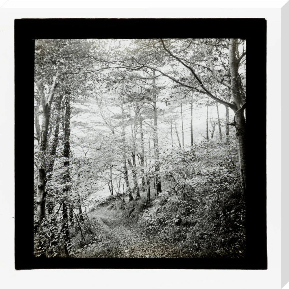 Product image 67